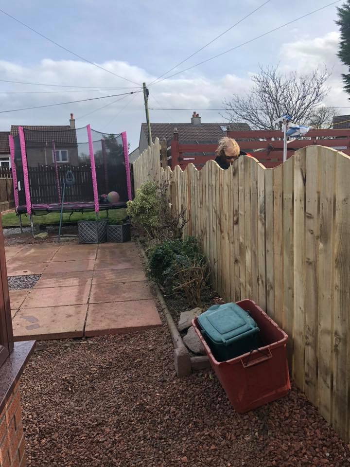 Close-board timber fencing installation in an Ayrshire garden