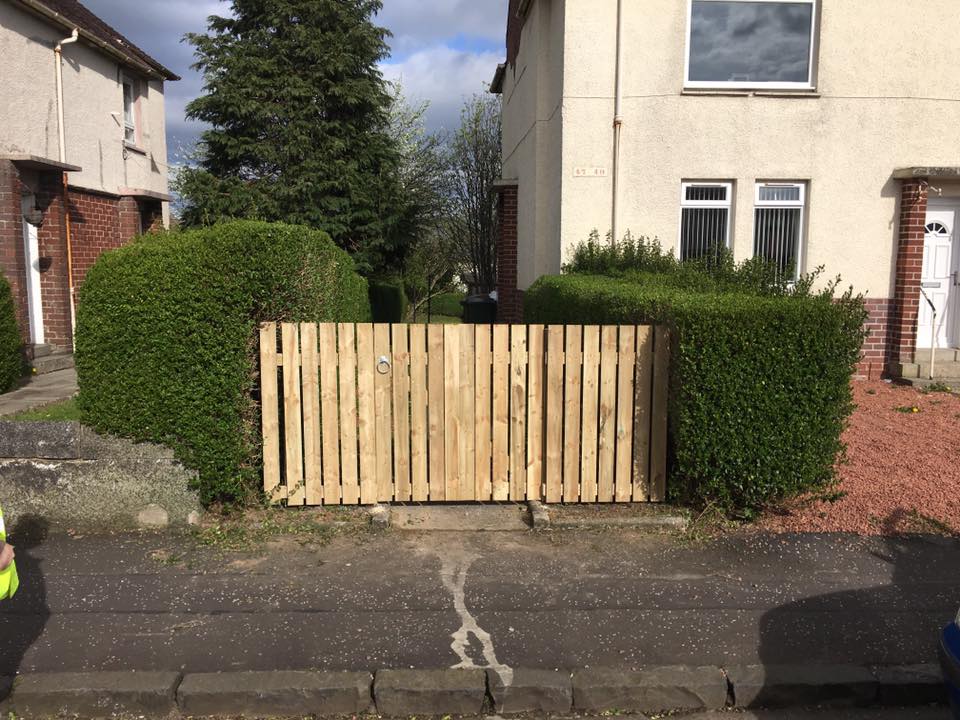 Hedge cutting and shaping service at a residential boundary