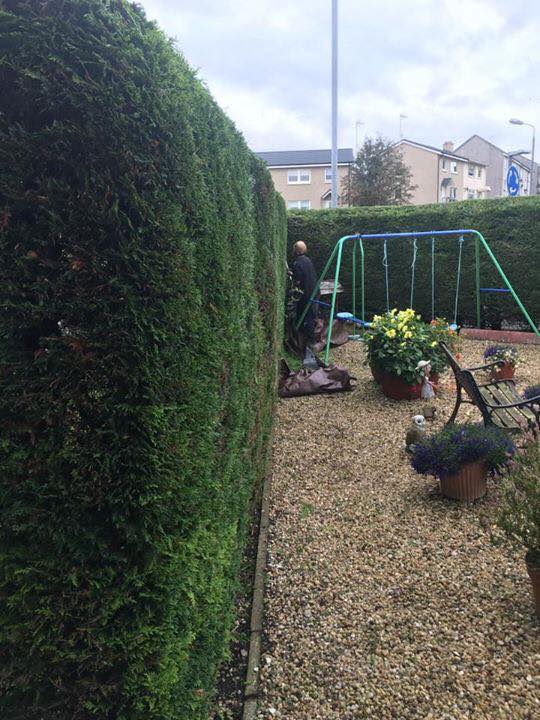 Garden clearance before and after transformation