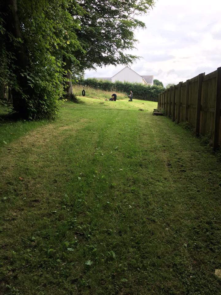 Overgrown garden cleared and prepared for landscaping