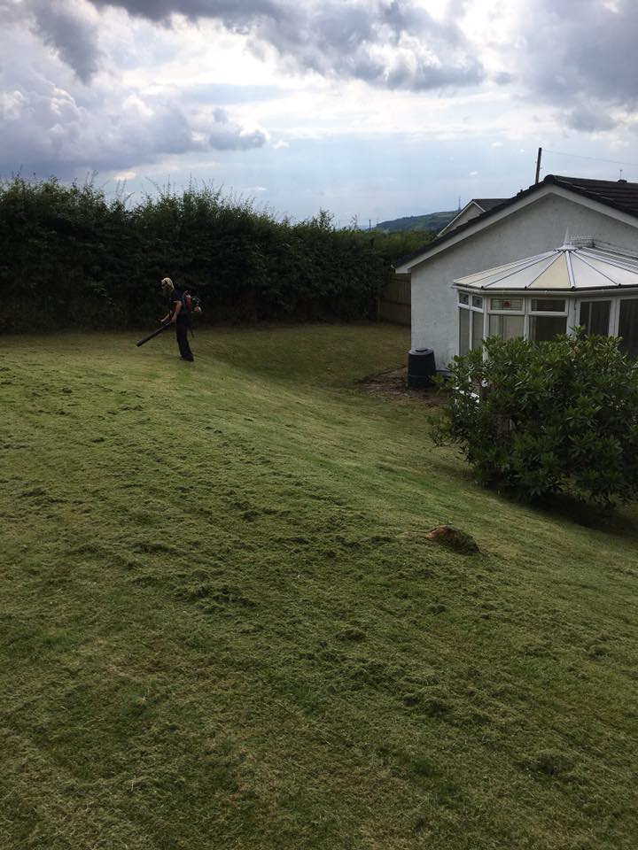 Well-maintained residential garden in Ayrshire