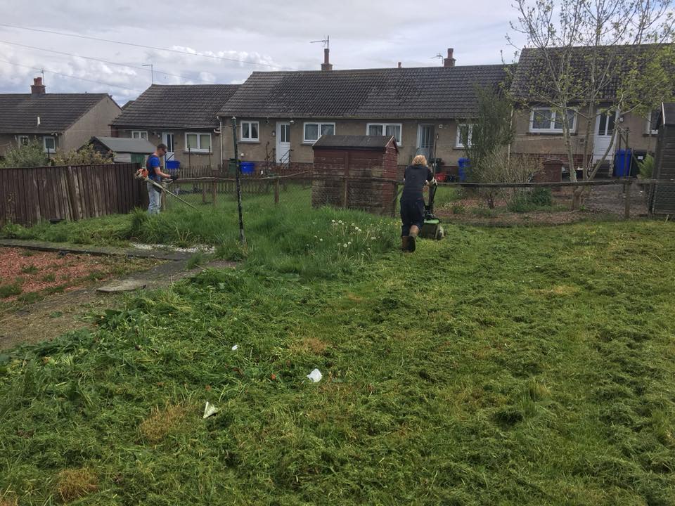 Landscaped garden with raised beds and pathways
